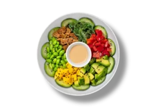 EatHappy-Poke-Bowl-Vegetarisch-500×350-1-390×0-c-default